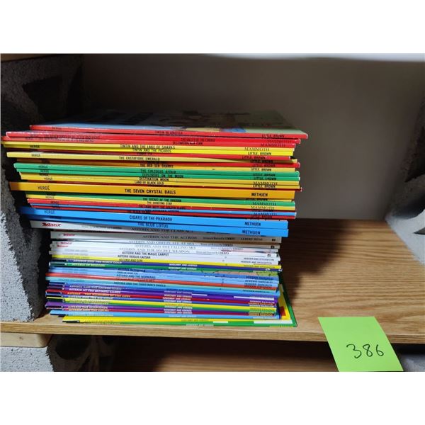 Tintin Book Collection