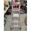 Image 1 : Heavy Duty Adjustable Ladder
