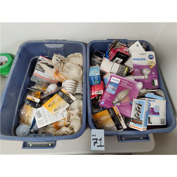 Assorted Light Bulbs & Smoke Detector