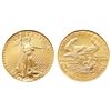 Image 1 : 1993 $5 American Gold Eagle Coin