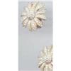 Image 1 : SALE Ciner  Star burst  Rhinestone Earrings #2379995