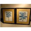 Image 1 : Hawaiian Prints "Calamus Asperrimus" Ferns! #2378731