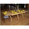 Image 1 : Danish Modern Dining Table #2379014