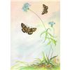 Image 1 : 1920's Leonard's Skipper Butterfly Color Lithograph Print