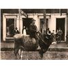 Image 1 : Early 1900's Man Riding Bull Photo Print