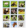 Image 2 : NEW 2022 16-MONTH BABY ANIMALS 2022 CALENDAR