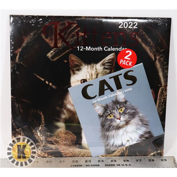 NEW 12 MONTH 2PACK 2022 KITTENS/ CATS CALENDARS