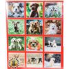 Image 2 : NEW 12 MONTH 2PACK 2022 PUPPIES/ DOGS CALENDARS