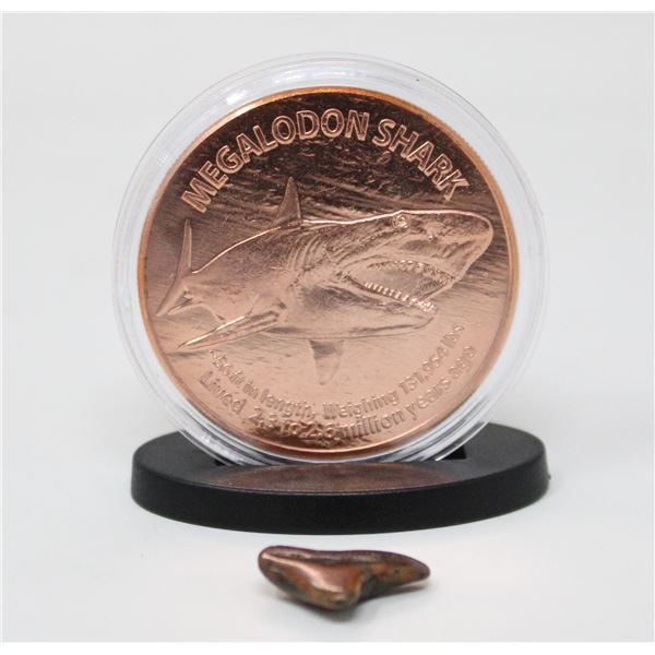 1-OZ MEGALODON SHARK COPPER ROUND WITH