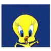 Image 1 : Steve Kaufman (1960-2010) "Tweety" Original Mixed Media On Canvas