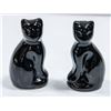 Image 1 : CERAMIC S/P SHAKERS BLACK PANTHERS