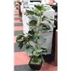 Image 1 : 4 FOOT TROPICAL LARGE LEAF ARTIFICIAL PLANT IN