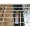 Image 2 : ANIMAL CAGE WITH BALE OF SHAVINGS