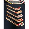 Image 2 : TEAM CANADA MINI STICK SERIES
