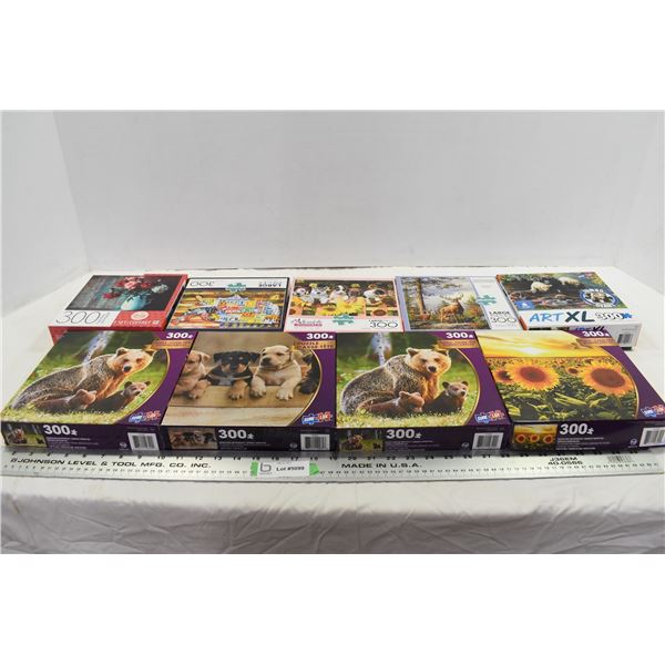9 Assorted Puzzles