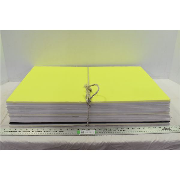 22+ 20”x30” Foam Boards