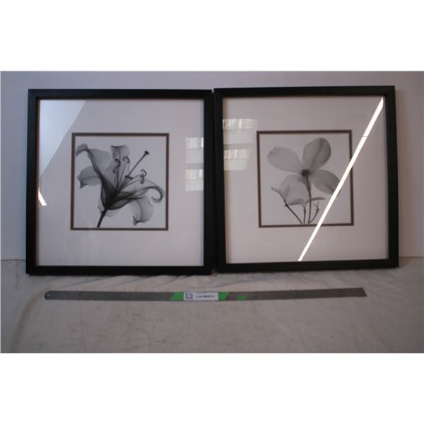 Black Framed Art