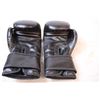 Image 4 : 12oz Boxing Gloves