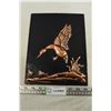 Image 1 : Copper Duck Picture