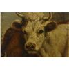 Image 3 : 32”x28” Cow Painting