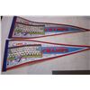 Image 7 : 1992  Blue Jays Champs pennants  flags, speakers, hats, new Hawaii t-shirt, back stretcher, etc