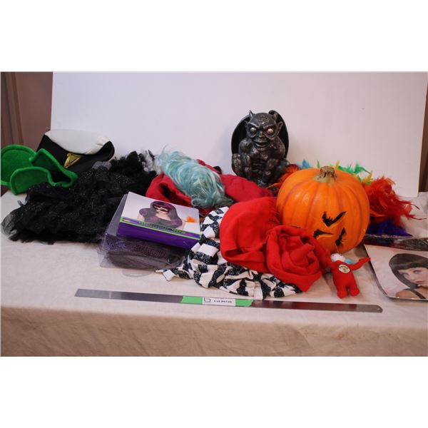 Various Halloween costumes (jailbird, Dr Seuss Thing 1), wigs, talking Gargoyle, light up pumpkin