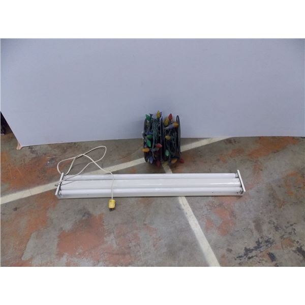 *christmas lights and light ballast (converted to wall outlet)