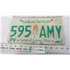 Image 2 : Pair of Sask plates