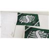 Image 2 : (2) Sask Roughriders window flags