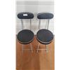 (2) Folding Padded Chairs