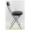 Image 4 : (2) Folding Padded Chairs