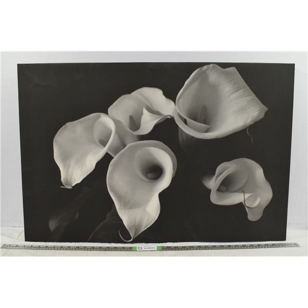 Canvas Painting – 35”x23”