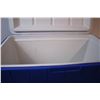 Image 3 : *Coleman Cooler (no Handles)
