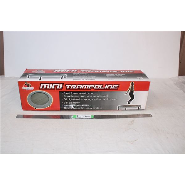 Mini Trampoline