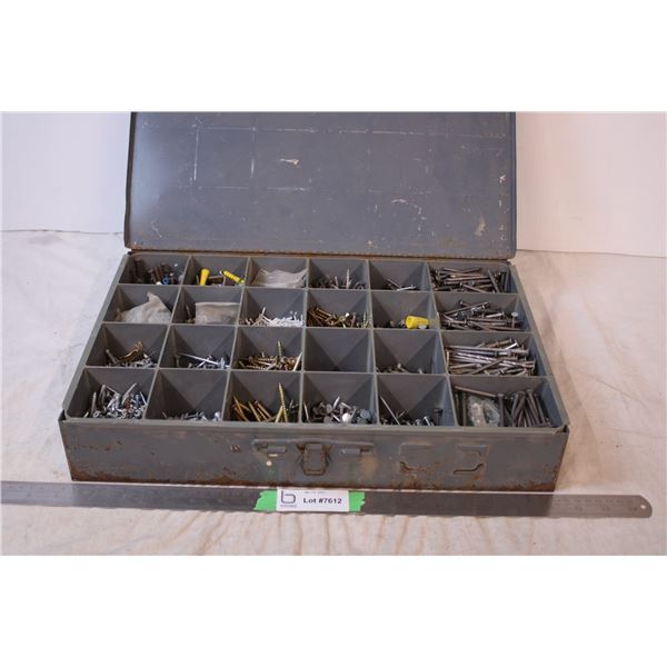 Metal Organizer with screws, nails