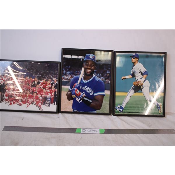 Sports Framed Pictures