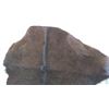 Image 3 : tanned hide - 24" x17"