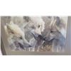 Image 3 : wolf/coyote picture in frame - 25.5x33.75