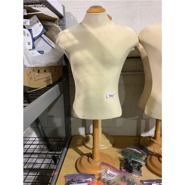 Torso Mannequin on wooden stand - Male