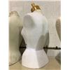 Image 2 : Torso Mannequin- Female
