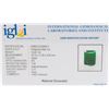 Image 4 : 15.68ct Octagonal Cut Green Natural Emerald IGL&I