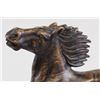 Image 7 : Lot of Two Chinese Horse and Fish Statues