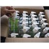 Image 2 : CASE OF NEW HAND SANITIZER
