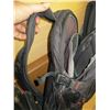 Image 2 : TARGUS BACKPACK