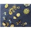 Image 3 : Brooches & Clip On Earrings