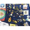 Image 3 : Pin Collection & Some Patches, Wpg Jets, McDonalds, Coke Plus