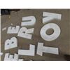 Image 2 : 17 Metal Letters, 17-20" & 17-20" Approx, White But Could be Painted to any color & 2 Storage Tubs  