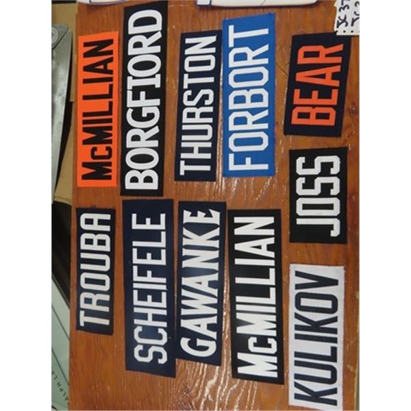 18 NHL & Jets Name Pennants & Jersey Rockers