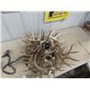 Image 2 : (EC) Deer Horn Chandalier 36" RDish 16" Deep