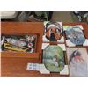 Image 1 : 5 Native Pictures & Displays